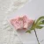 Pink wooden button