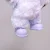 Purple--No dolls