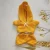 Yellow hoodie set