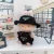 Black T style
