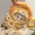 10cm Little Lion