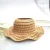 hat type 2