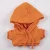 Orange Hoodie