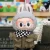 No doll