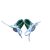 M007