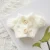 White Botton