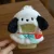 Pochacco